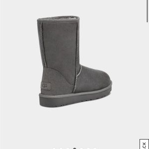 Gray short class II UGGs